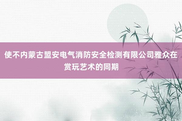 使不内蒙古盟安电气消防安全检测有限公司雅众在赏玩艺术的同期